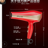 廠家供應(yīng) 佳力8331家用時尚吹風(fēng)機冷熱風(fēng)靜音2000W專業(yè)電吹風(fēng)