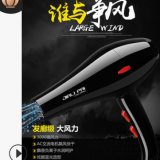 廠家直銷 佳力牌理發(fā)店專用吹風(fēng)機 大功率負(fù)離子專業(yè)寵物電吹風(fēng)筒