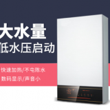 無氧銅水箱天然氣液化氣 燃氣熱水器10L家用智能恒溫即熱式熱水器