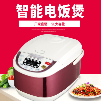 廠家直銷不銹鋼電飯煲5L定時方形多功能廚房家用電器禮品智能電飯