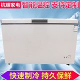 商用臥式冷凍冰柜 單溫單頂開門冷柜 便利店超市冷柜 冰柜