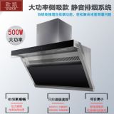 歐琳凱薩不銹鋼大功率大吸力商用排煙機廠家直銷家用土灶吸油煙機
