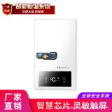 廠家批發(fā)燃?xì)鉄崴?2L 天然氣強(qiáng)排恒溫家用智能即熱式熱水器
