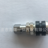 供應(yīng)優(yōu)質(zhì) 氣門嘴 汽摩配件TR161 銅材質(zhì)氣門咀 閥嘴 電動車配件