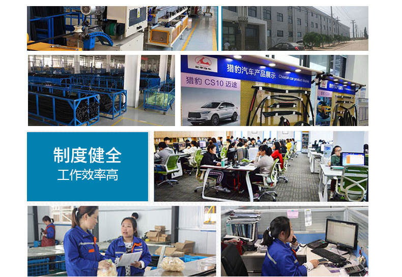 長(zhǎng)豐汽車(chē)外壓條-詳情_(kāi)09