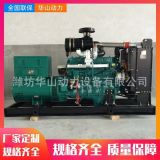 全銅發(fā)電機(jī)批發(fā)濰坊100千瓦柴油發(fā)電機(jī)組商用柴油發(fā)電機(jī)組廠家