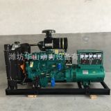 柴油發(fā)電機(jī)組 超市食堂家用發(fā)電機(jī)組 50kw小型應(yīng)急發(fā)電機(jī)組