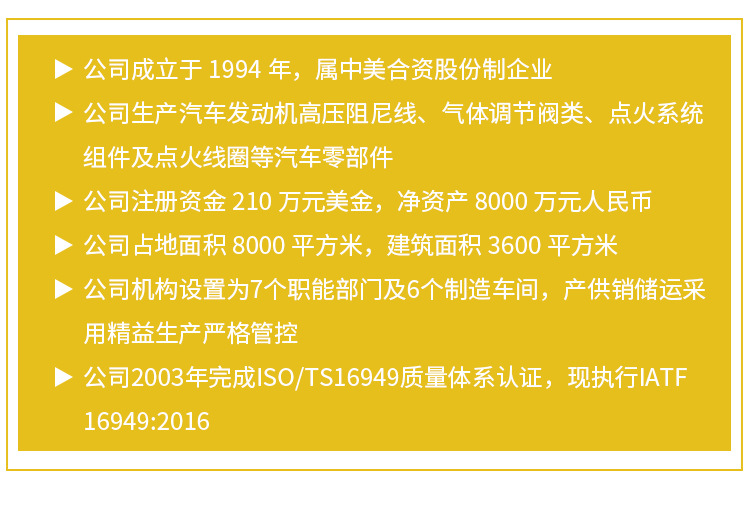 汽車配件,汽車點(diǎn)火零件,電子點(diǎn)火模塊系統(tǒng)_12.jpg