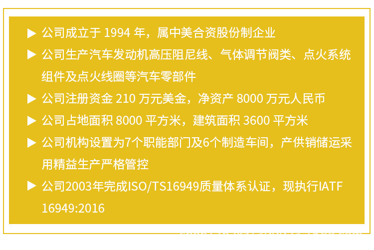 汽車點火系統(tǒng)配件,點火線圈組件_12.jpg