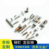 非標不銹鋼定位銷釘 圓柱五金尖固定銷子304銷軸金屬滾花銷圓錐銷