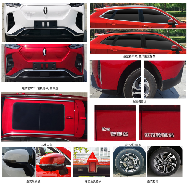 &ldquo;換芯門&rdquo;還未結(jié)束，歐拉的&ldquo;新車規(guī)劃&rdquo;能給老車主安慰嗎？