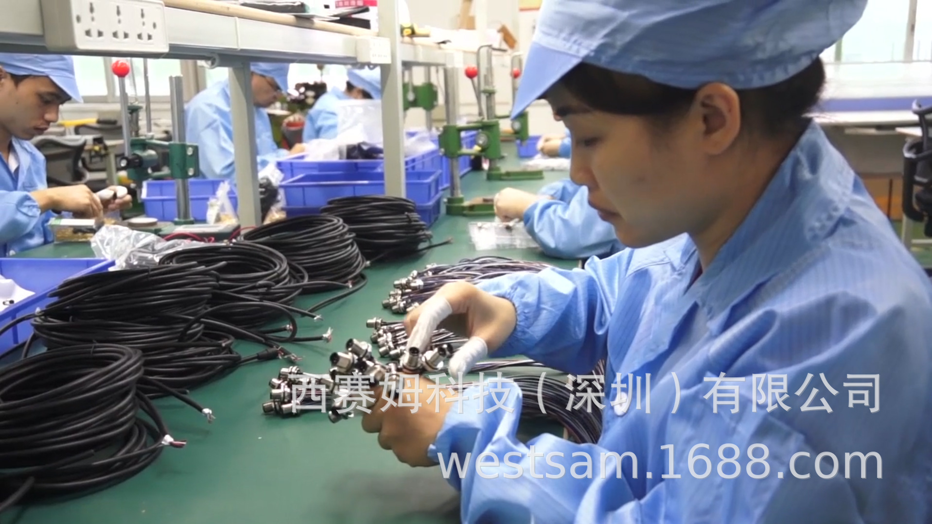 QQ截圖20190802161846