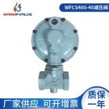 廠家供應(yīng)CS400天然氣低壓調(diào)節(jié)閥 燃氣液化氣二級減壓閥工業(yè)調(diào)壓器