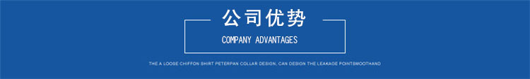 公司優(yōu)勢.jpg