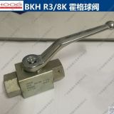 霍格球閥HOOG BKH R3/8K BALL VALVES