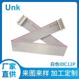 廠家定制12P成品IDC排線插排連接端子加工測試顯示屏白色DIP排線