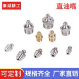 黃油嘴直油嘴不銹鋼油嘴 供應(yīng)銅油鐵油嘴 平扣式油嘴廠家