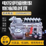 金卓跨境專供廠家批發(fā)電控供油速率燃油噴射泵工程車柴油泵不銹鋼電動