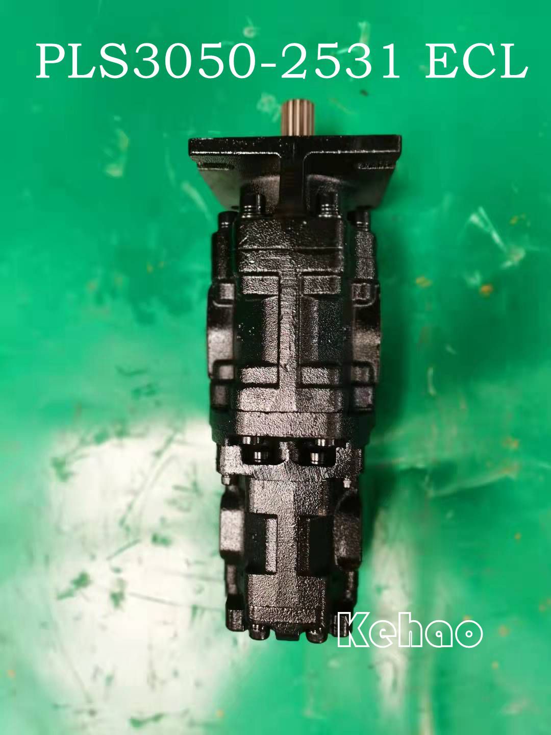 PLS3050-2531 ECL 4_副本