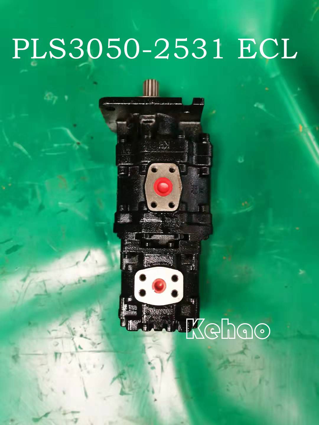 PLS3050-2531 ECL 5_副本