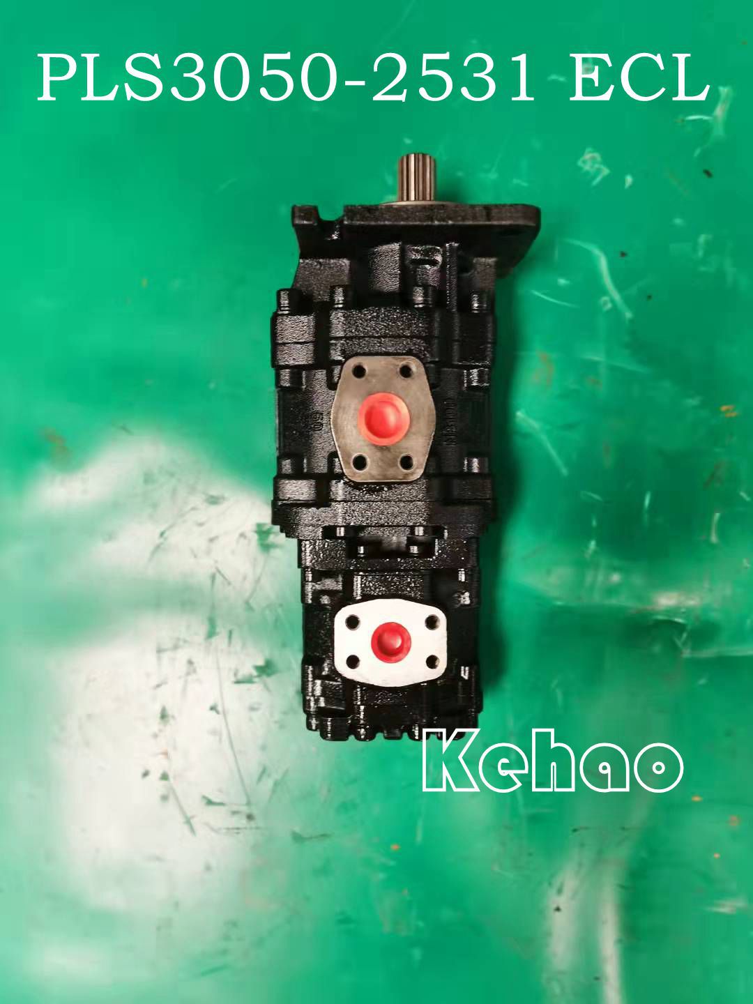 PLS3050-2531 ECL 3_副本