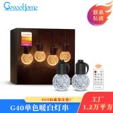戶外防水智能水晶圣誕燈串 圣誕庭院裝飾氛圍LED高壓燈串
