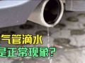 汽車排氣管滴水是怎么回事？對(duì)車有沒有損害？這里面大有學(xué)問 (503播放)